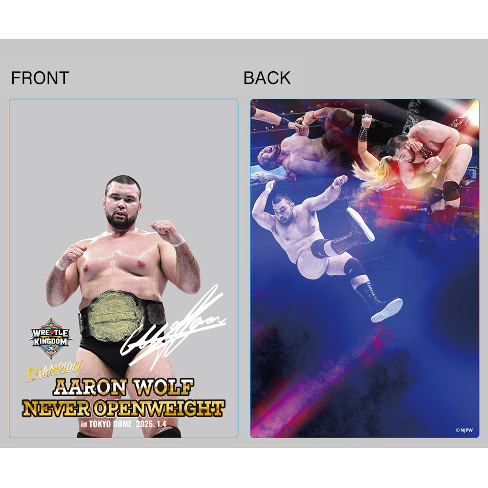 Shinnichi Premium Store – TOKON SHOP Global - New Japan Pro