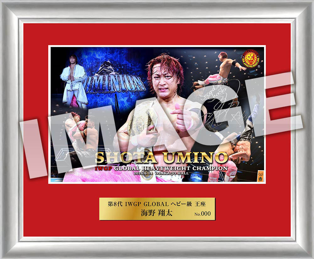 Shinnichi Premium Store – TOKON SHOP Global - New Japan Pro