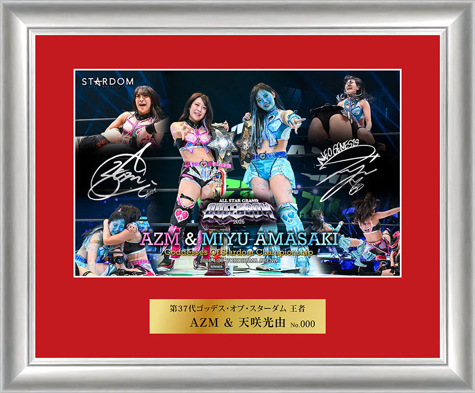 STARDOM Imports – TOKON SHOP Global - New Japan Pro-Wrestling of
