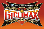 G1 Climax 35 Finals Ringside Ticket
