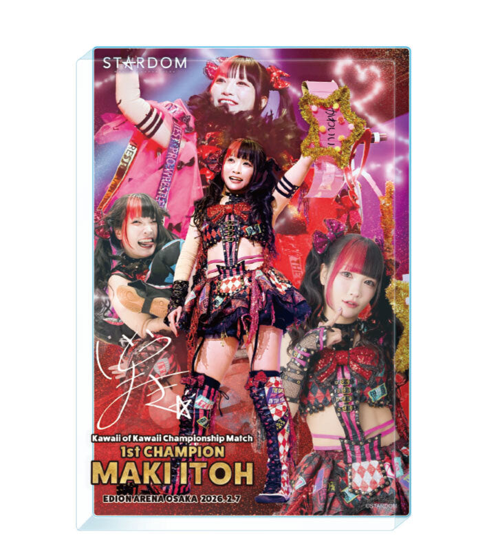 Shinnichi Premium Store – TOKON SHOP Global - New Japan Pro