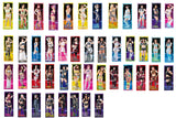 STARDOM Life-size Tapestry 2026 [Pre-order]②