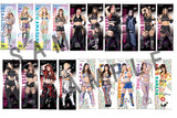 STARDOM Life-size tapestry 2025 ②[Pre-order]