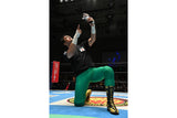 Ryusuke Taguchi - Taguchi Japan T-shirt