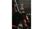Hiroshi Tanahashi - Taguchi Japan T-shirt