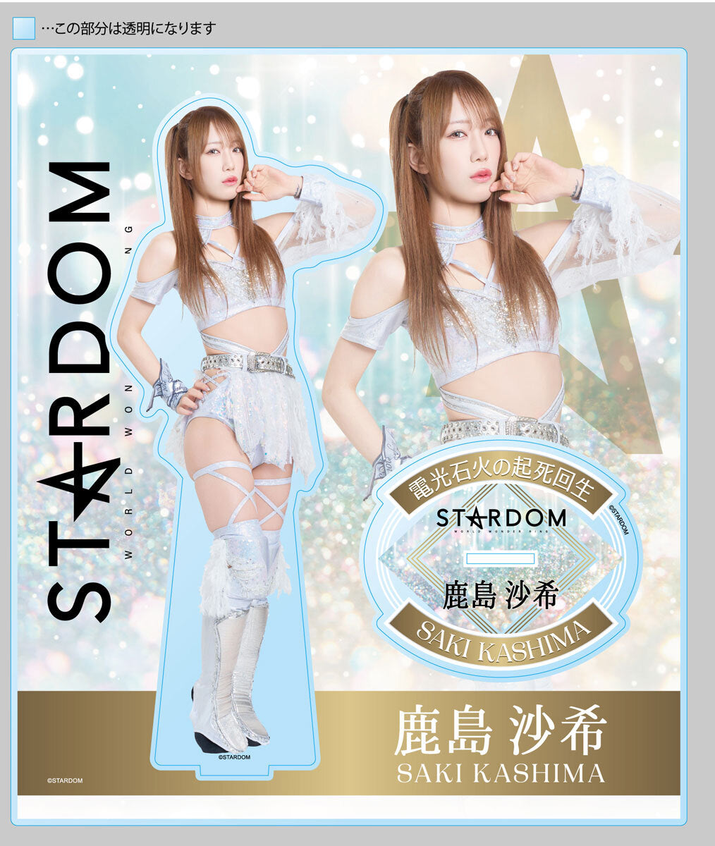 🛒 Pre-Order Items! 🛒 – TOKON SHOP Global - New Japan Pro