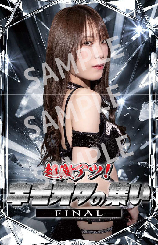 Stardom – TOKON SHOP Global - New Japan Pro-Wrestling of America