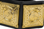 IWGP World Heavyweight Plastic Championship Belt