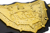 IWGP World Heavyweight Plastic Championship Belt