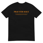 Hawaii Charity T-Shirt
