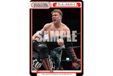 Rebirth for you Trial Deck - United Empire - New Japan Pro-Wrestling